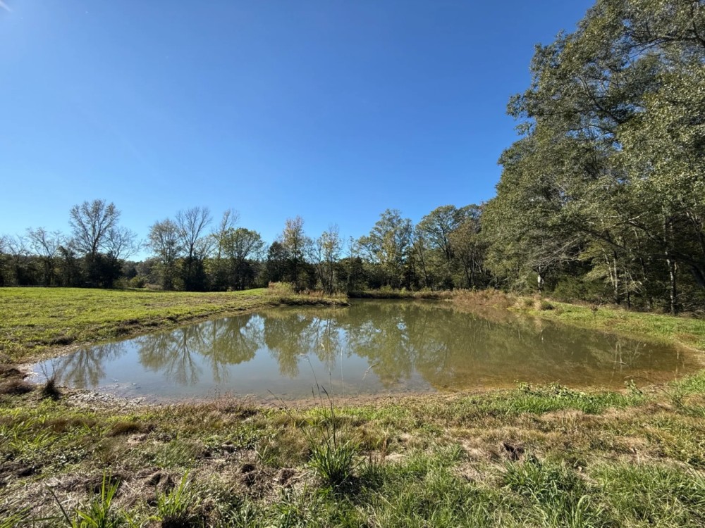 54.7 Acres in Hinds County MS featured image