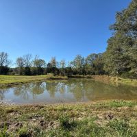 54.7 Acres in Hinds County MS