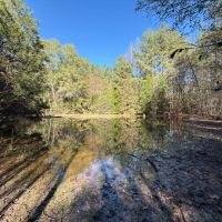 54.7 Acres in Hinds County MS images 2