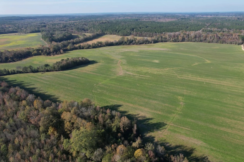 202.43 Acres in Attala County MS featured image