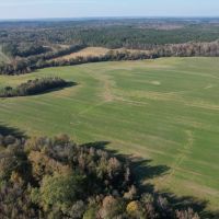 202.43 Acres in Attala County MS