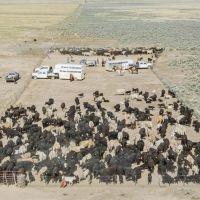 Vance Ranch images 2