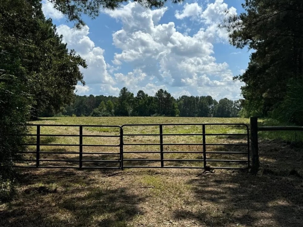 34.48 Acres Double Wide Mobile Home in SW MS featured image
