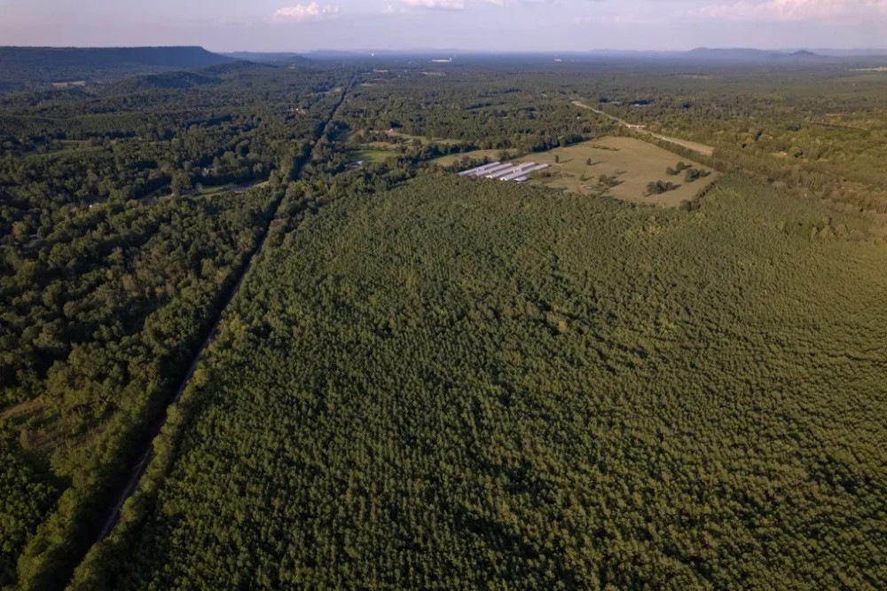 MLS 21869726 Conservation Easement 110 acres level wooded property in Beautiful Ashville. featured image