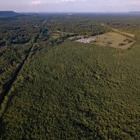 MLS 21869726 Conservation Easement 110 acres level wooded property in Beautiful Ashville.