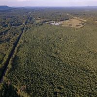 MLS 21869726 Conservation Easement 110 acres level wooded property in Beautiful Ashville. images 2