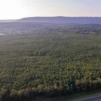 MLS 21869726 Conservation Easement 110 acres level wooded property in Beautiful Ashville. images 3