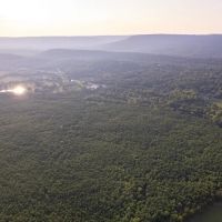 MLS 21869726 Conservation Easement 110 acres level wooded property in Beautiful Ashville. images 5
