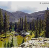 Fossil Ridge Wilderness 32,179 acres Deer Hunting Land in Gunnison, CO images 6