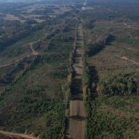 621.5 Acres in Grenada County MS