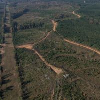 621.5 Acres in Grenada County MS images 2