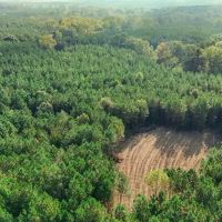 Turnkey Hunting Land in Franklin County MS