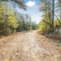 Turnkey Hunting Land in Franklin County MS images 2