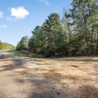 Turnkey Hunting Land in Franklin County MS images 4