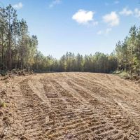 Turnkey Hunting Land in Franklin County MS images 5