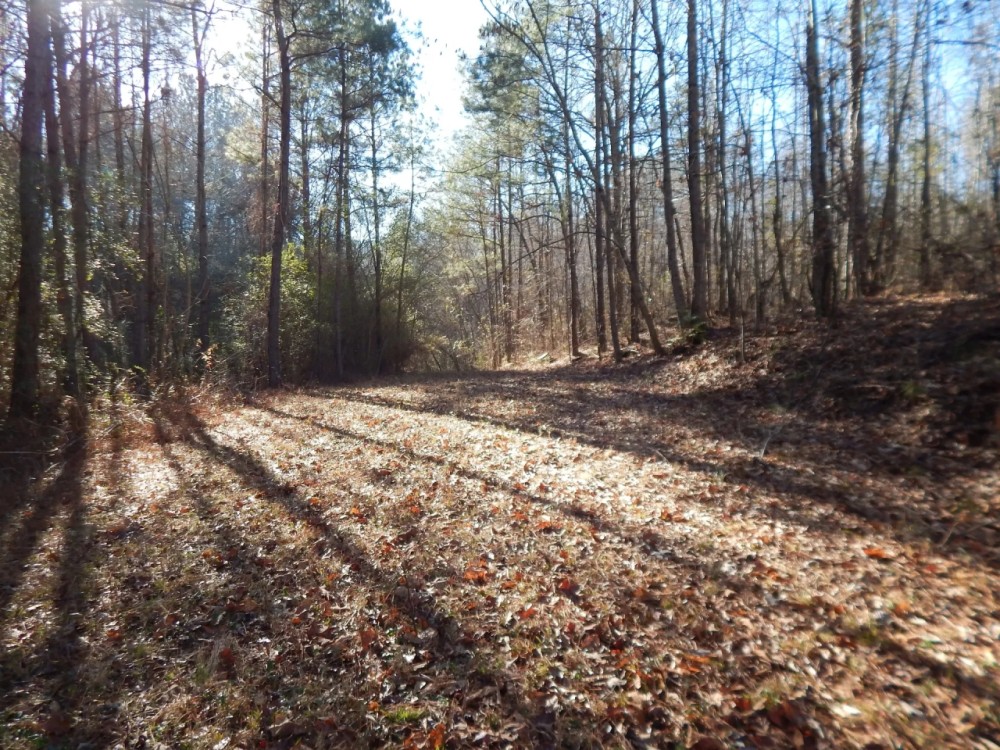 MLS 21869743 CONSERVATION EASEMENT—You can build one house on this property. featured image