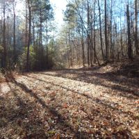 MLS 21869743 CONSERVATION EASEMENT—You can build one house on this property.