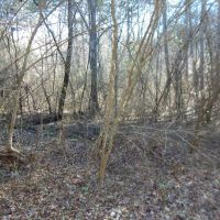 MLS 21869743 CONSERVATION EASEMENT—You can build one house on this property. images 2