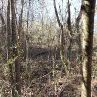 MLS 21869743 CONSERVATION EASEMENT—You can build one house on this property. images 3