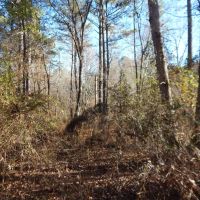 MLS 21869743 CONSERVATION EASEMENT—You can build one house on this property. images 4