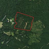 LA - Catahoula 65 acres -