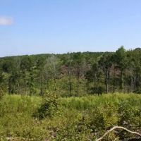 SU121112 Fayette Tract images 4