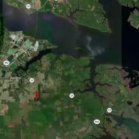 146-Acre Prime Hunting Timber Land for Sale in Beaufort Co. NC images 4