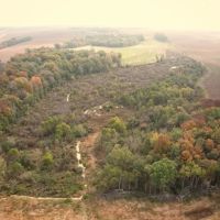 82 Acres in Sunflower County in Ruleville MS