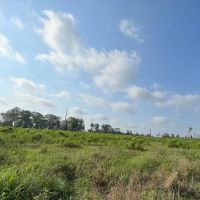 913 Acres FM 247 T-10 images 3