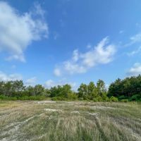 913 Acres FM 247 T-10 images 4