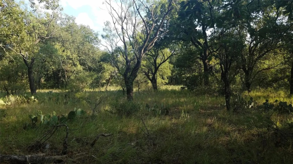 New Listing 50 - Acres Coleman County featured image