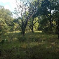 New Listing 50 - Acres Coleman County