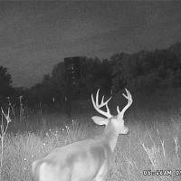New Listing 50 - Acres Coleman County images 4
