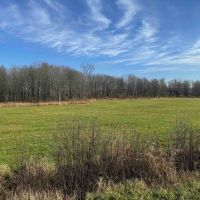 10 acres Recreational Land and Hunting Land in Ripley NY Post Road