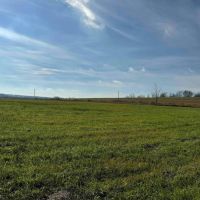 10 acres Recreational Land and Hunting Land in Ripley NY Post Road images 5