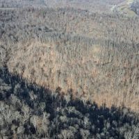 SR 26 - 160 acres - Washington County images 2