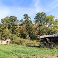 SR 26 - 160 acres - Washington County images 4