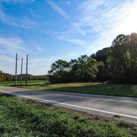 SR 26 - 160 acres - Washington County images 5