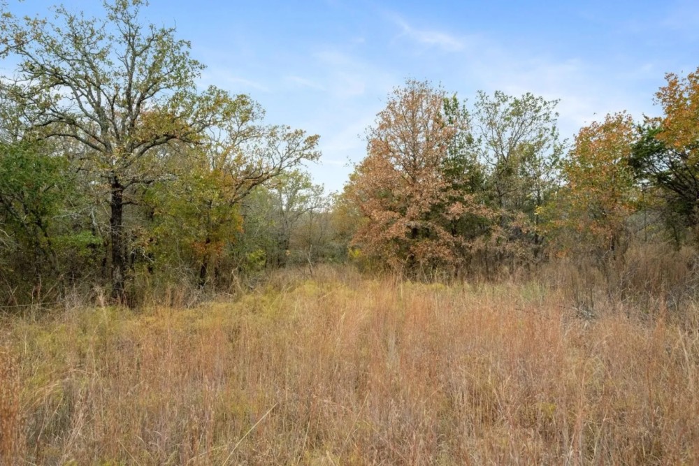 TBD Brock Highway Lipan Texas 76462 featured image