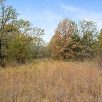TBD Brock Highway Lipan Texas 76462