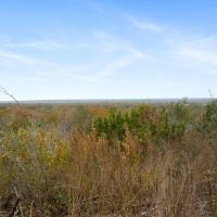TBD Brock Highway Lipan Texas 76462 images 3