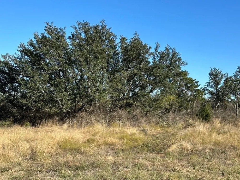 103 - Acres….Oaks Elevation Hunting Paved access Homesites featured image