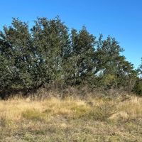 103 - Acres….Oaks Elevation Hunting Paved access Homesites