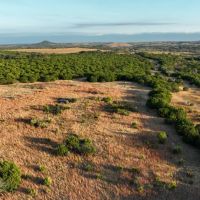 Tooley Ranch