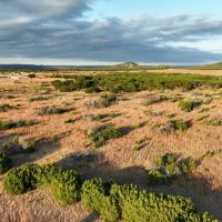 Tooley Ranch images 2