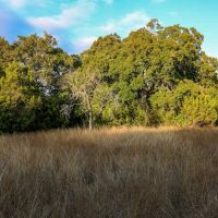 Tooley Ranch images 4