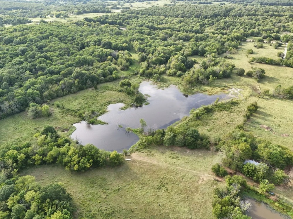 Blanco Pasture featured image
