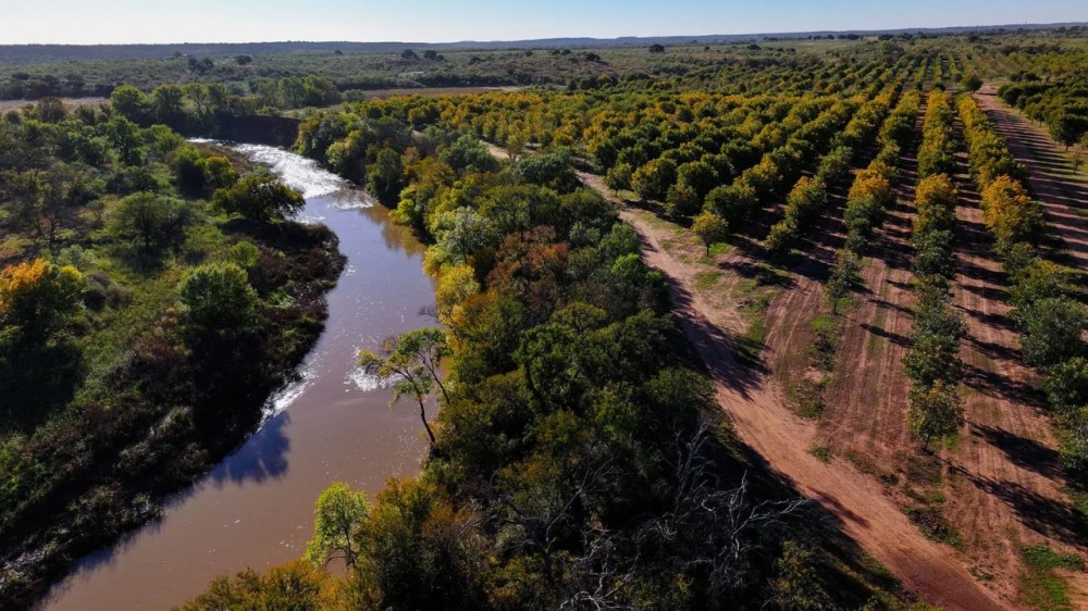 Big Valley Pecan Farm featured image