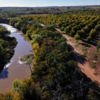 Big Valley Pecan Farm