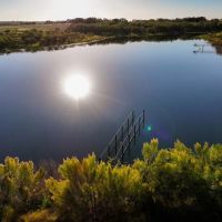 Big Valley Pecan Farm images 2